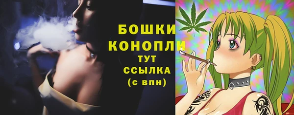 spice Зеленодольск