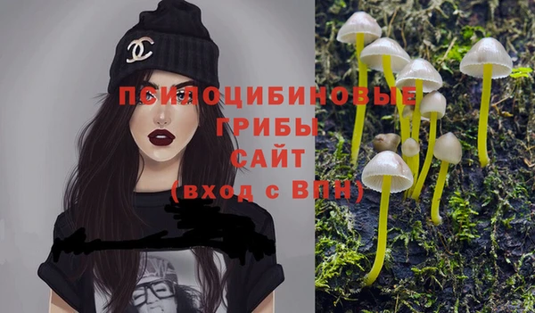 МДПВ Зерноград