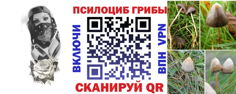 Псилоцибиновые грибы MAGIC MUSHROOMS  дарнет шоп  Саранск 